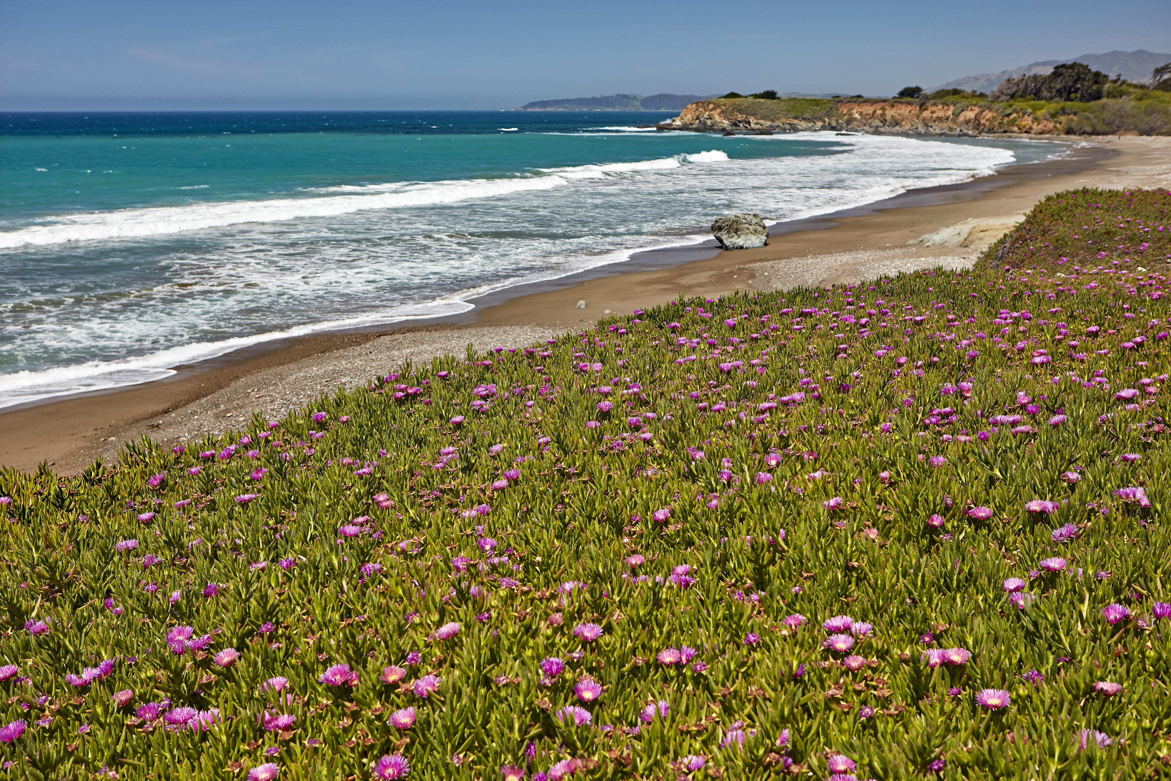Cavalier Oceanfront Resort San Simeon Esterno foto